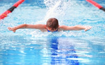 Learning to Fly—The Butterfly